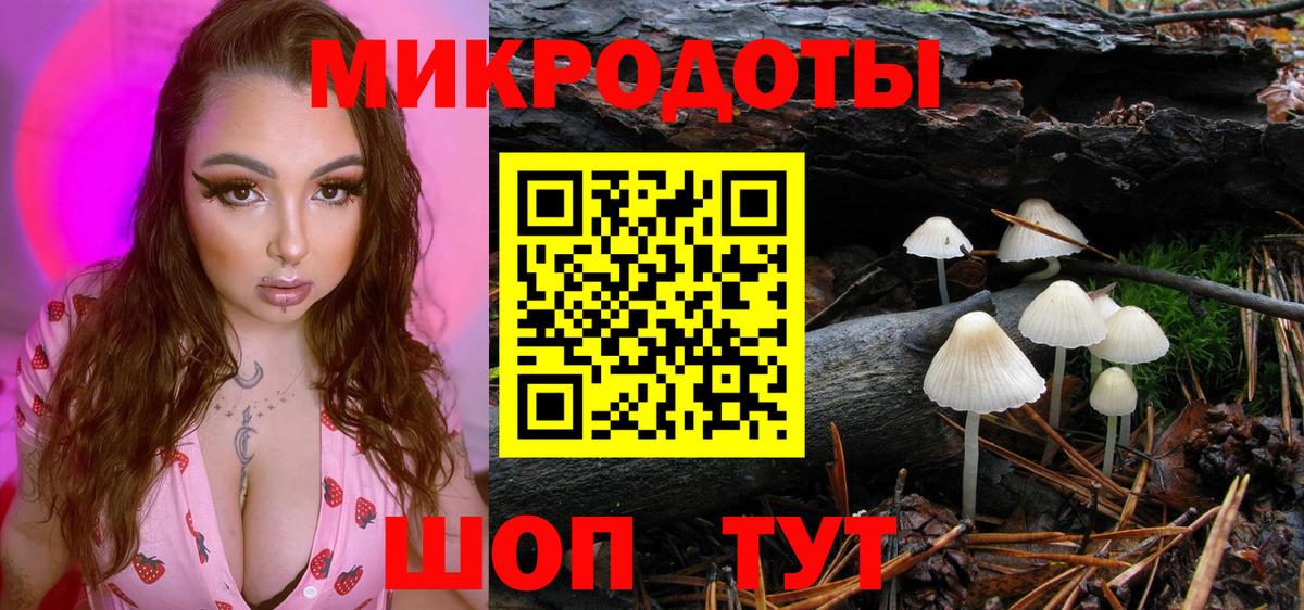 Галлюциногенные грибы MAGIC MUSHROOMS Нижний Новгород